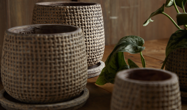 PTMD Japan – PTMD JAPAN PTMD Japan – PTMD JAPAN