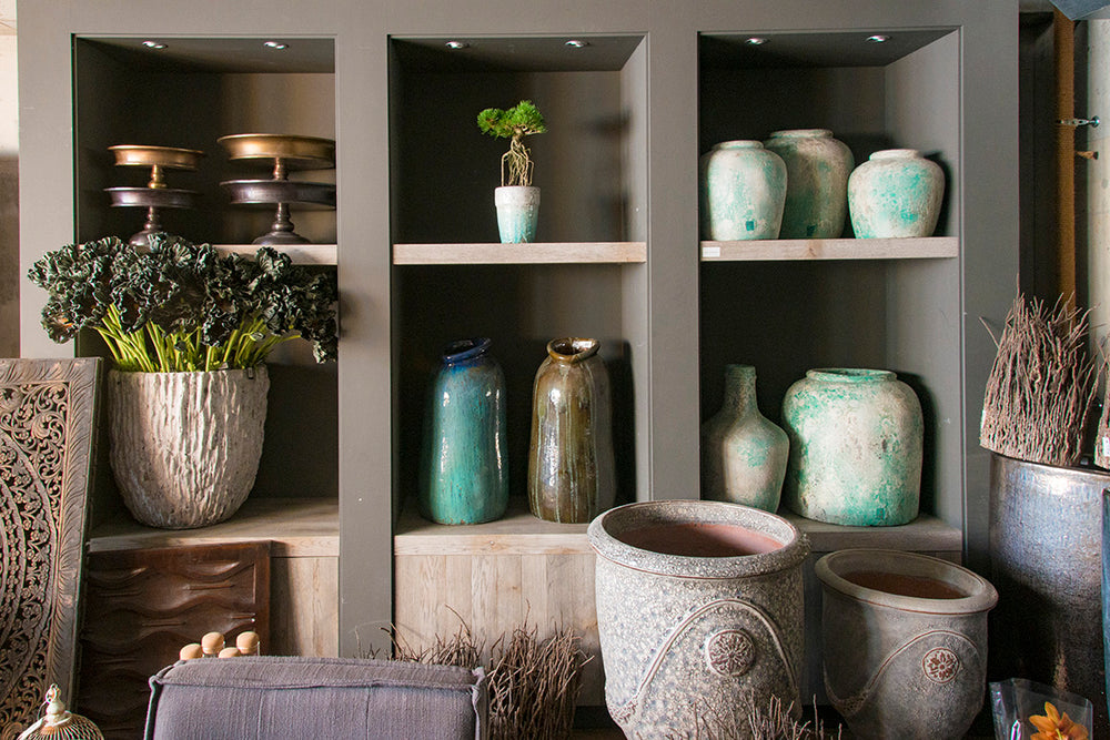 PTMD Japan – PTMD JAPAN